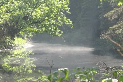 Another day at Black River fishing hole