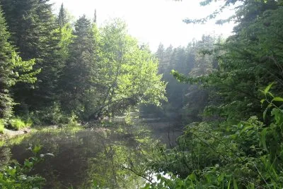 Each day gives a different view...