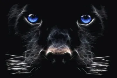 Pantera Digital