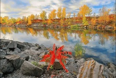 ImÃ genes jigsaw puzzle