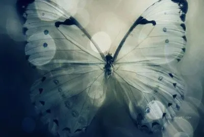 ImÃ genes jigsaw puzzle