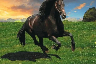 ImÃ genes jigsaw puzzle