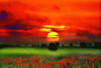 ImÃ genes jigsaw puzzle