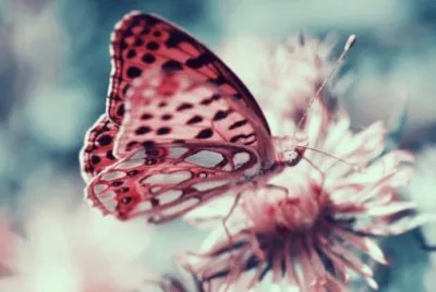 ImÃ genes jigsaw puzzle