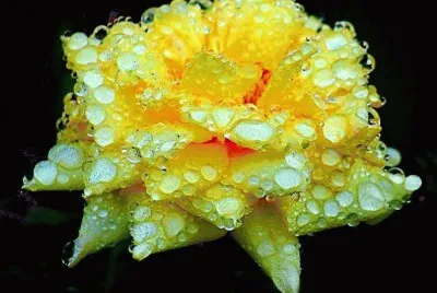 ImÃ genes jigsaw puzzle