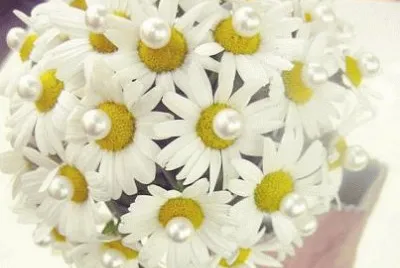 ImÃ genes jigsaw puzzle