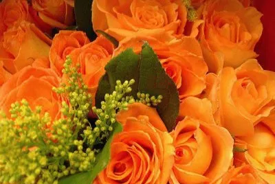 ImÃ genes jigsaw puzzle