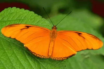 ImÃ genes jigsaw puzzle