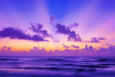 Purple Dawn