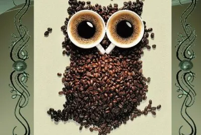 פאזל של BÃºho de cafÃ©