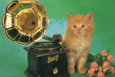 gatet
