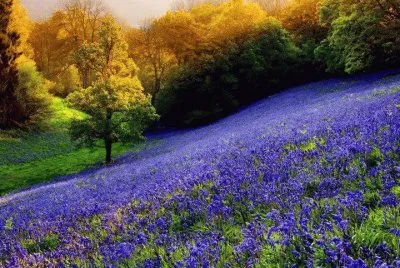 paisagem