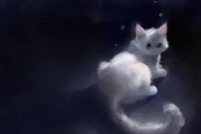 14489gato3d