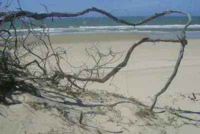 Praia deserta do Batoque - Aquiraz-Ce jigsaw puzzle