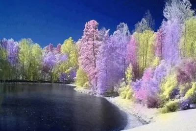Paisaje RomÃ¡ntico jigsaw puzzle
