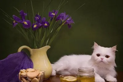 Cookies and Tea with the Cat-Art