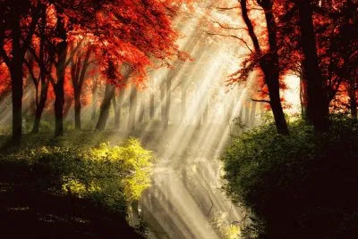paisagem