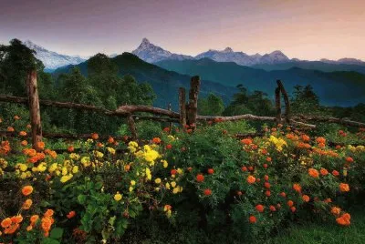 paisagem