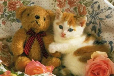gatet
