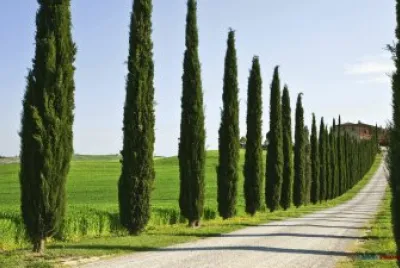 paisaje