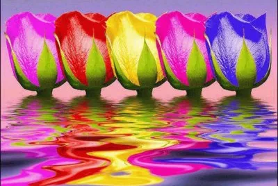 פאזל של COLORES