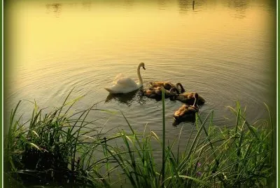 Paisagem
