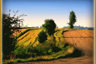 Paisagem jigsaw puzzle