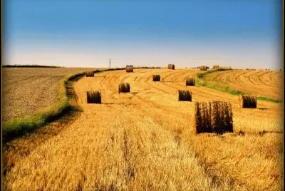 Paisagem jigsaw puzzle