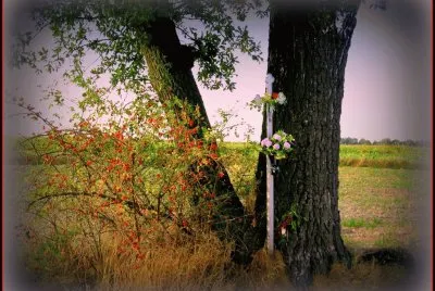 Paisagem