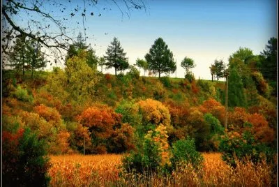 Paisagem