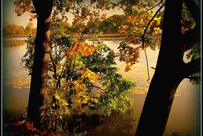 Paisagem