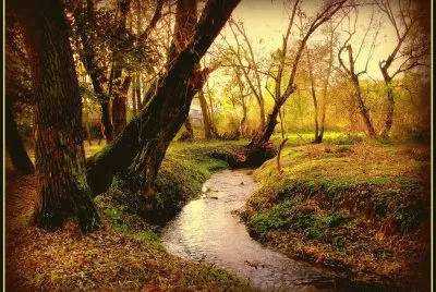 Paisagem
