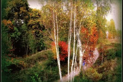 Paisagem