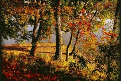 Paisagem