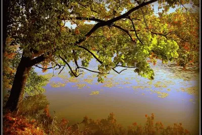 Paisagem