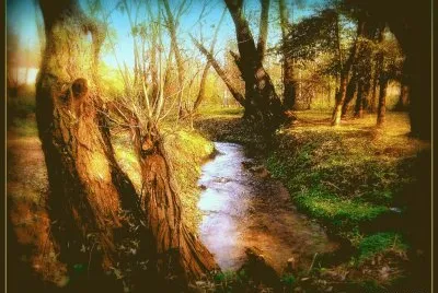 Paisagem
