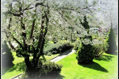 Paisagem jigsaw puzzle