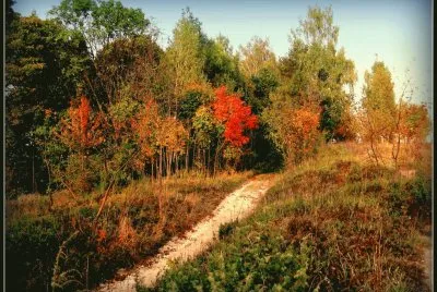 Paisagem