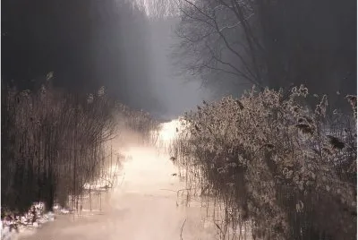 Natureza