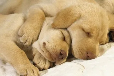 a jigsaw puzzle