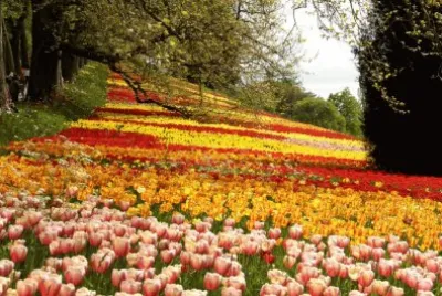 Paisagens