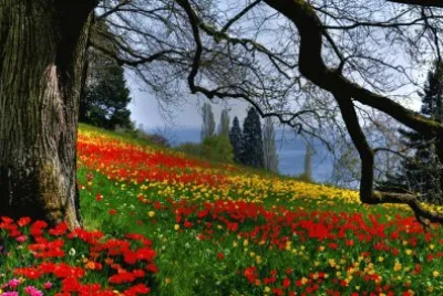 Paisagens