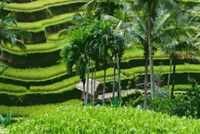 Paisagens
