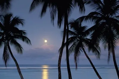 Imagenes jigsaw puzzle