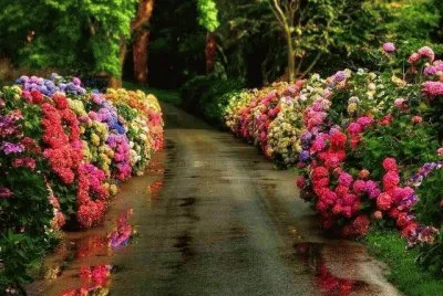 Imagenes jigsaw puzzle