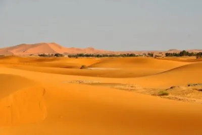 Imagenes jigsaw puzzle