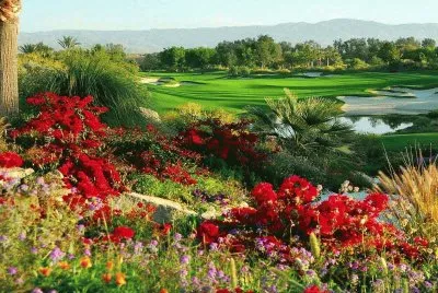 Imagenes jigsaw puzzle