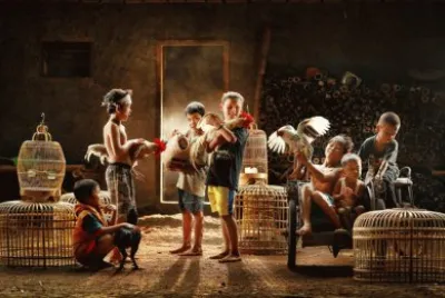 Imagenes jigsaw puzzle