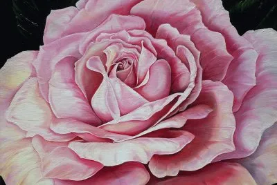 â™¥