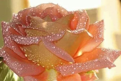 â™¥